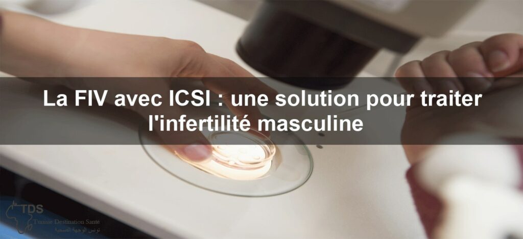 Fiv Avec Icsi Traitement De L Infertilité Masculine