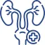 Icone Urologie